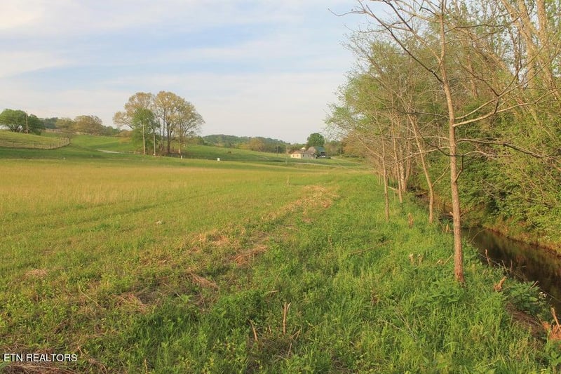 Lot 6 Roddy Branch Rd, Rockford, TN 37853