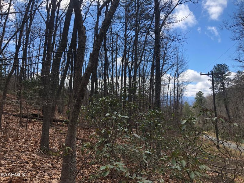 Lot 6 Swann Saddle, Sevierville, TN 37876