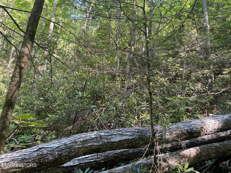 Lot 6 Sycamore St, Sevierville, TN 37876