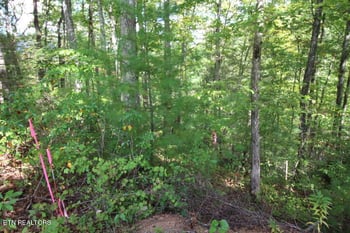 Lot 6 Taylors Ridge Rd #Journeys End, Walland, TN 37886