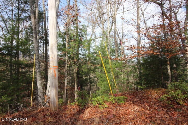 Lot 6 Taylors Ridge Rd #Journeys End, Walland, TN 37886