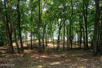 Lot 6 Valley Dr, Loudon, TN 37774