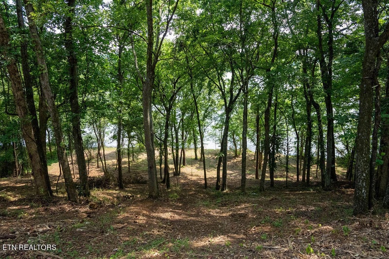 Lot 6 Valley Dr, Loudon, TN 37774