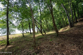 Lot 6 Valley Dr, Loudon, TN 37774