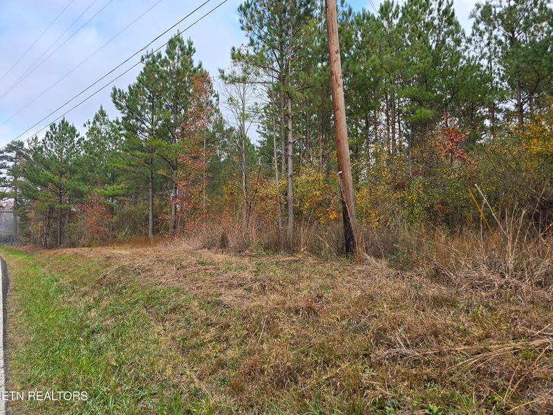 Lot 6 W Robbins Rd, Robbins, TN 37852