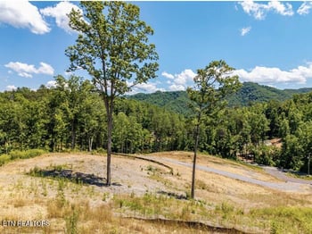 Lot 6 Waldens Creek Rd, Sevierville, TN 37862