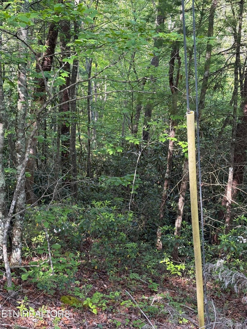 Lot 6 Walnut Flats Rd, Walland, TN 37886