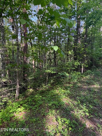 Lot 6 Walnut Flats Rd, Walland, TN 37886