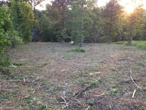 Lot 60 Blue Heron Bluff Dr, Harriman, TN 37748