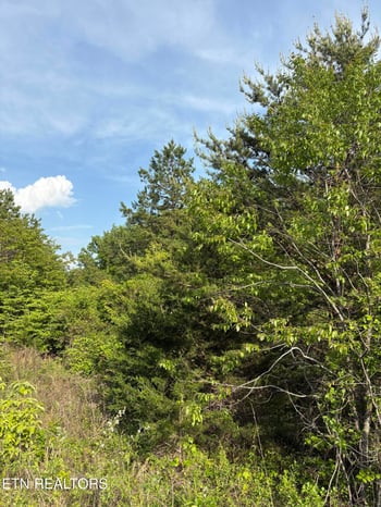 lot 60 Saddleridge Dr, Speedwell, TN 37870