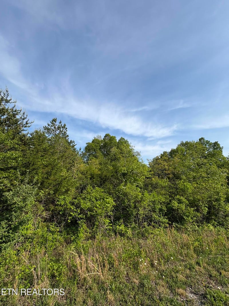lot 60 Saddleridge Dr, Speedwell, TN 37870