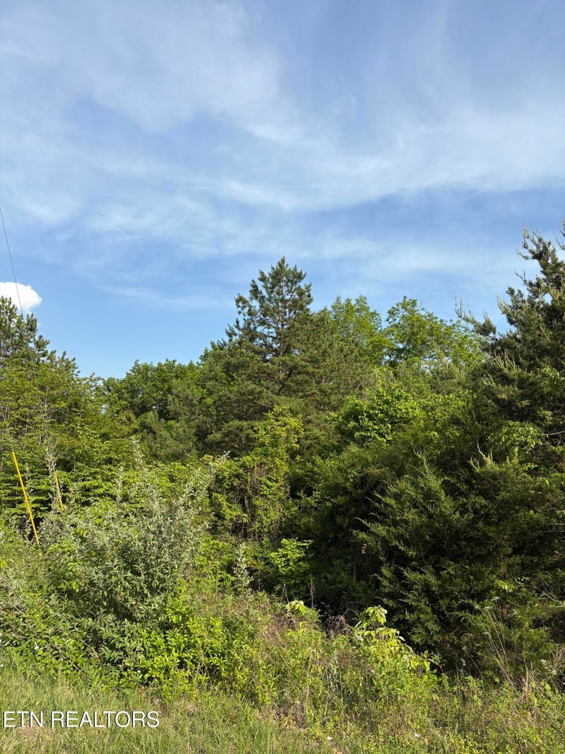 lot 60 Saddleridge Dr, Speedwell, TN 37870