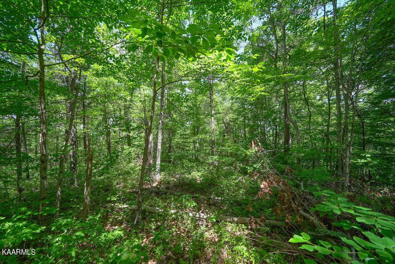Lot 603 High View Ct, Sevierville, TN 37876