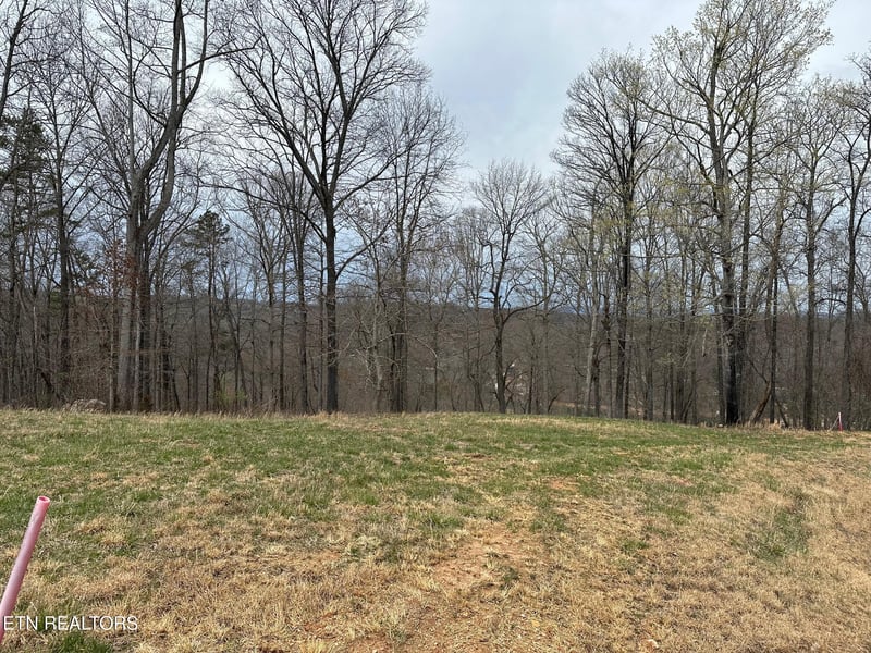 Lot 605 N Two Rivers Ln, Lafollette, TN 37766