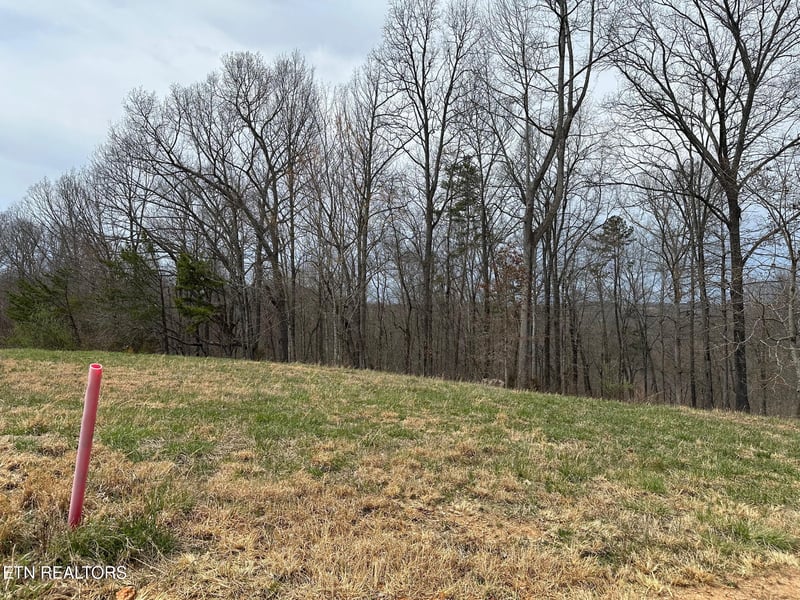 Lot 605 N Two Rivers Ln, Lafollette, TN 37766
