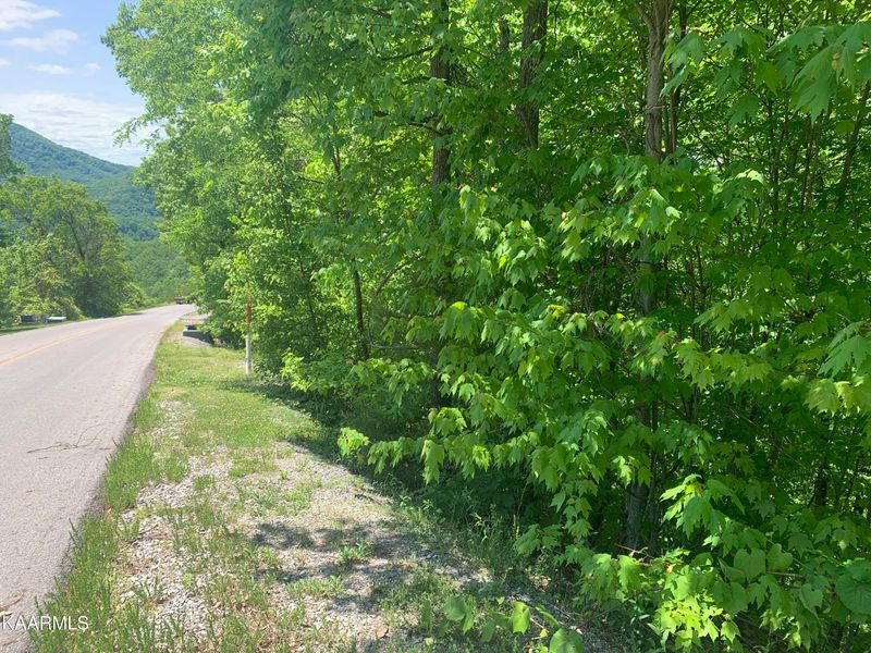 Lot 60E Redtail Rd, Sevierville, TN 37862