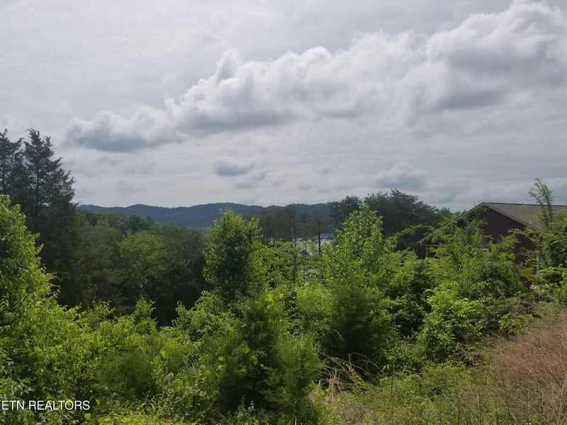 Lot 61 Whispering Ct, Bean Station, TN 37708