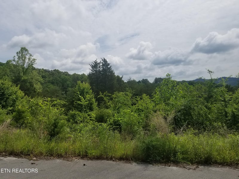 Lot 61 Whispering Ct, Bean Station, TN 37708