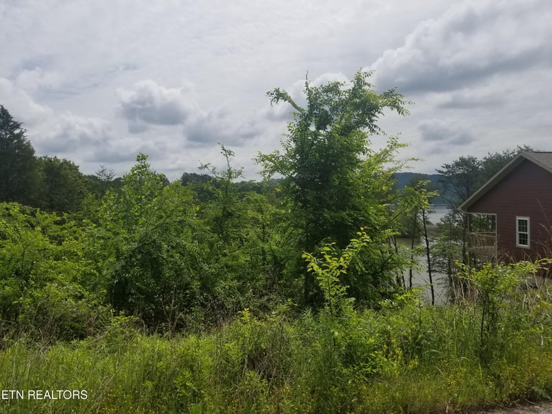Lot 61 Whispering Ct, Bean Station, TN 37708