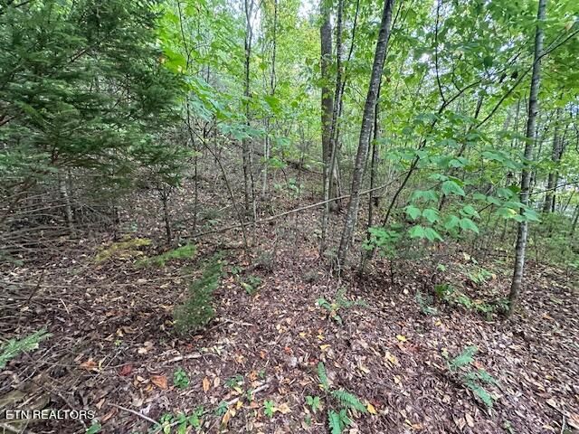 Lot 63 R Bluestone Way, Townsend, TN 37882