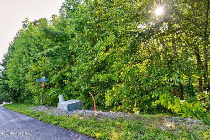 Lot 64E Redtail Rd, Sevierville, TN 37862
