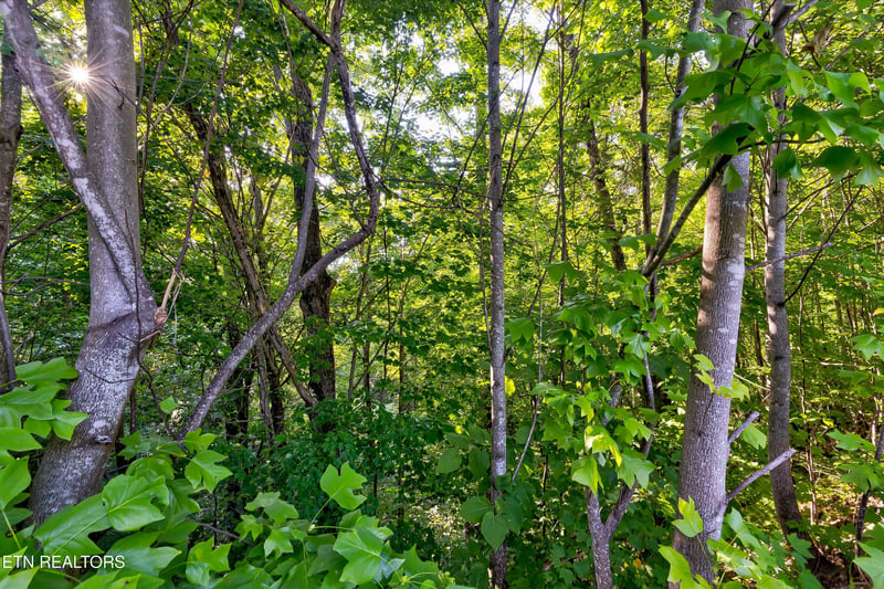 Lot 64E Redtail Rd, Sevierville, TN 37862