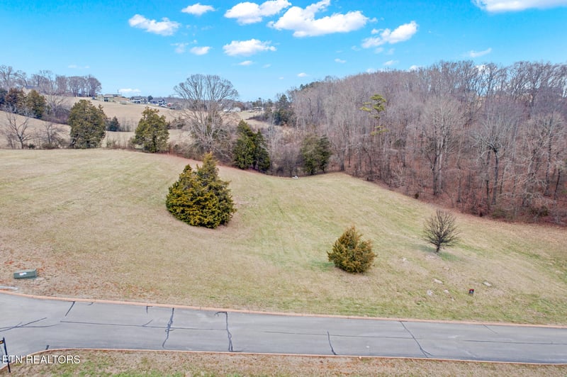 Lot 65 Cow Poke Ln, Rutledge, TN 37861