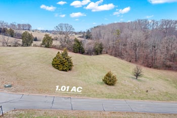 Lot 65 Cow Poke Ln, Rutledge, TN 37861