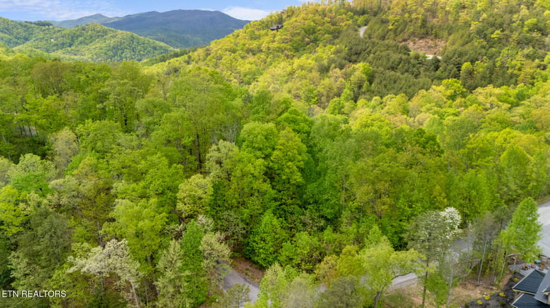 Lot 66E Redtail Rd, Sevierville, TN 37862