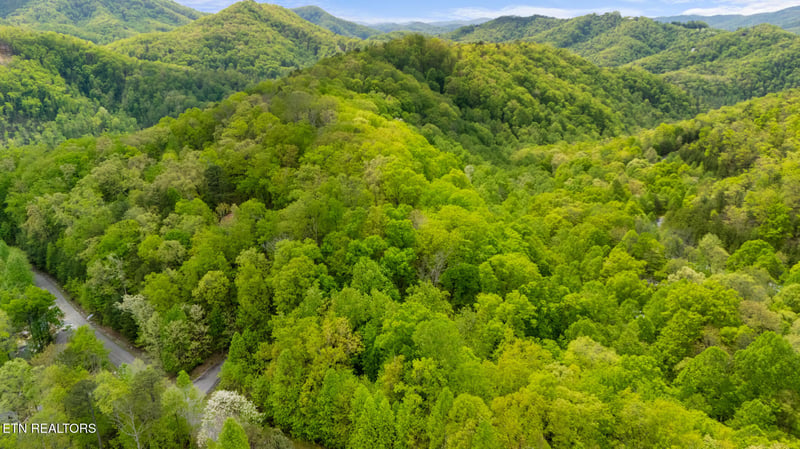 Lot 66E Redtail Rd, Sevierville, TN 37862