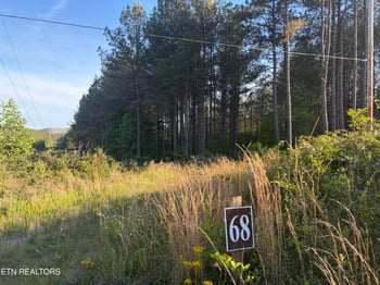 Lot 68 Black Bear Ln, Sunbright, TN 37872
