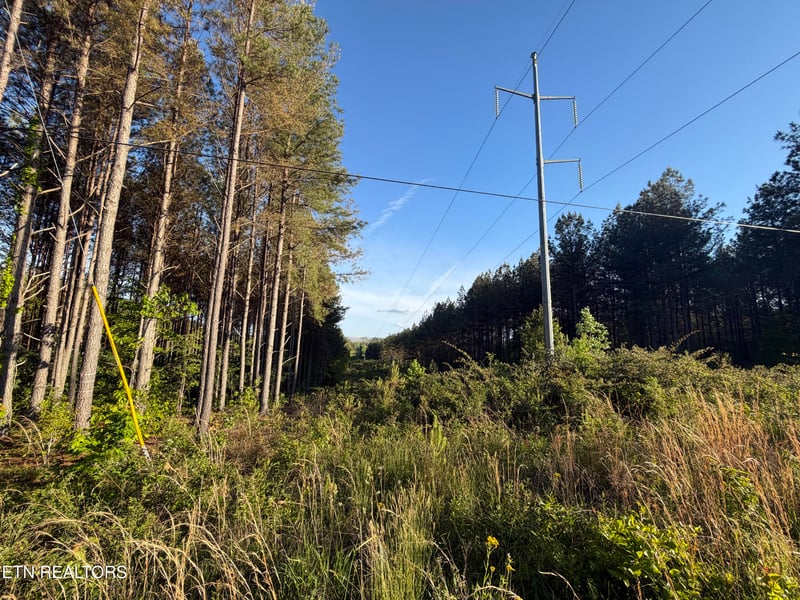 Lot 68 Black Bear Ln, Sunbright, TN 37872