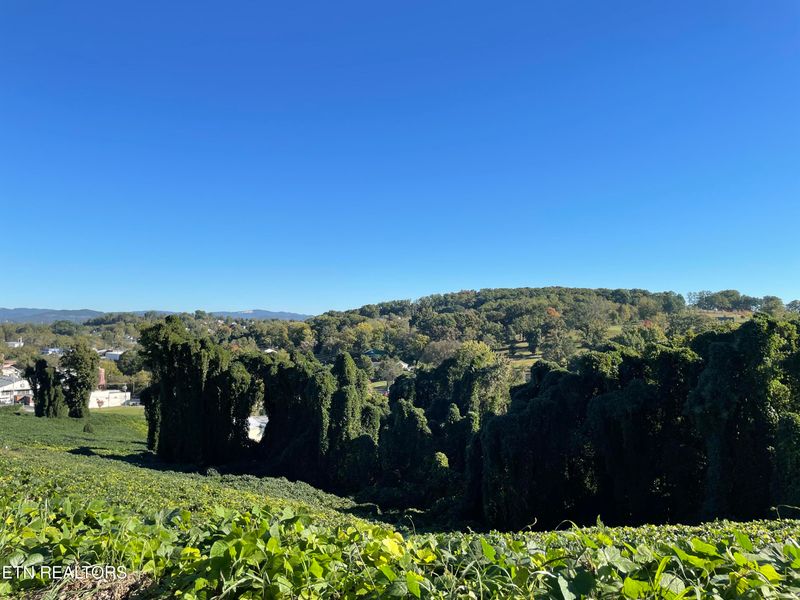 Lot 68 N Henry St, Morristown, TN 37814