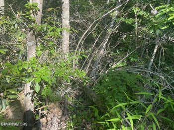 Lot 68 Sycamore St, Sevierville, TN 37876