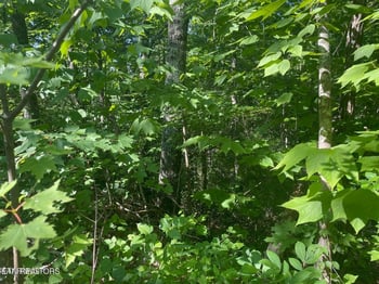 Lot 68 Sycamore St, Sevierville, TN 37876