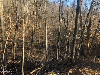 Lot 68 Yellowwood Dr, Sevierville, TN 37876
