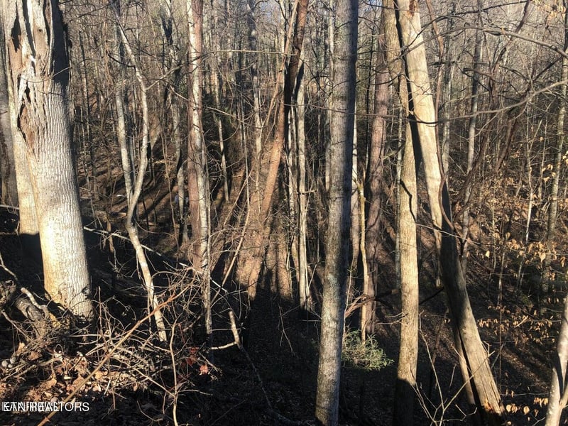 Lot 68 Yellowwood Dr, Sevierville, TN 37876