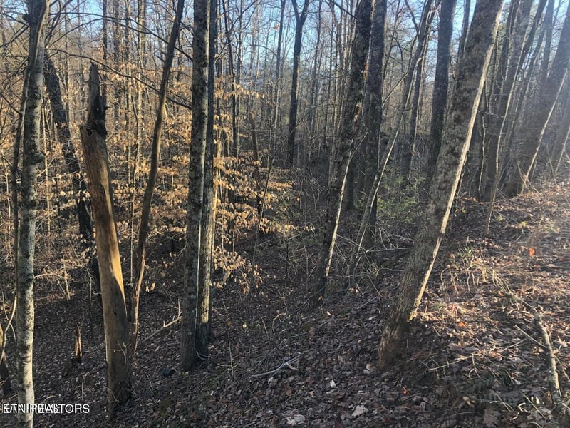 Lot 68 Yellowwood Dr, Sevierville, TN 37876