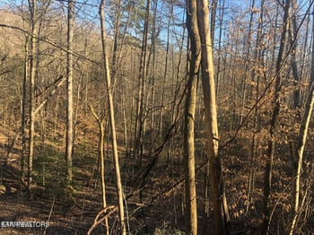 Lot 68 Yellowwood Dr, Sevierville, TN 37876