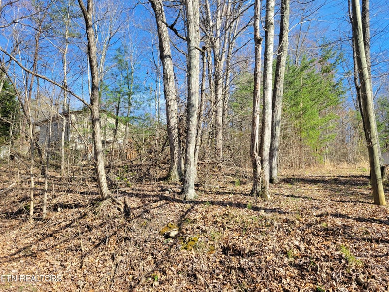 Lot 69 Alpine Dr, Sevierville, TN 37876