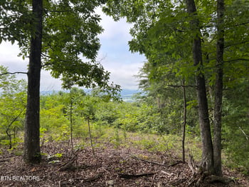 Lot 69 Megans Tr, Bean Station, TN 37708