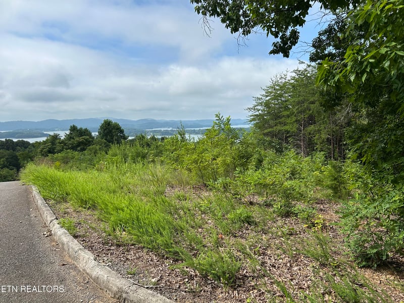 Lot 69 Megans Tr, Bean Station, TN 37708