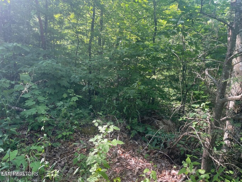 Lot 69 Sycamore St, Sevierville, TN 37876