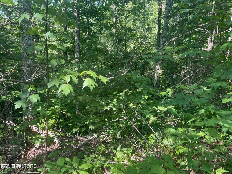 Lot 69 Sycamore St, Sevierville, TN 37876