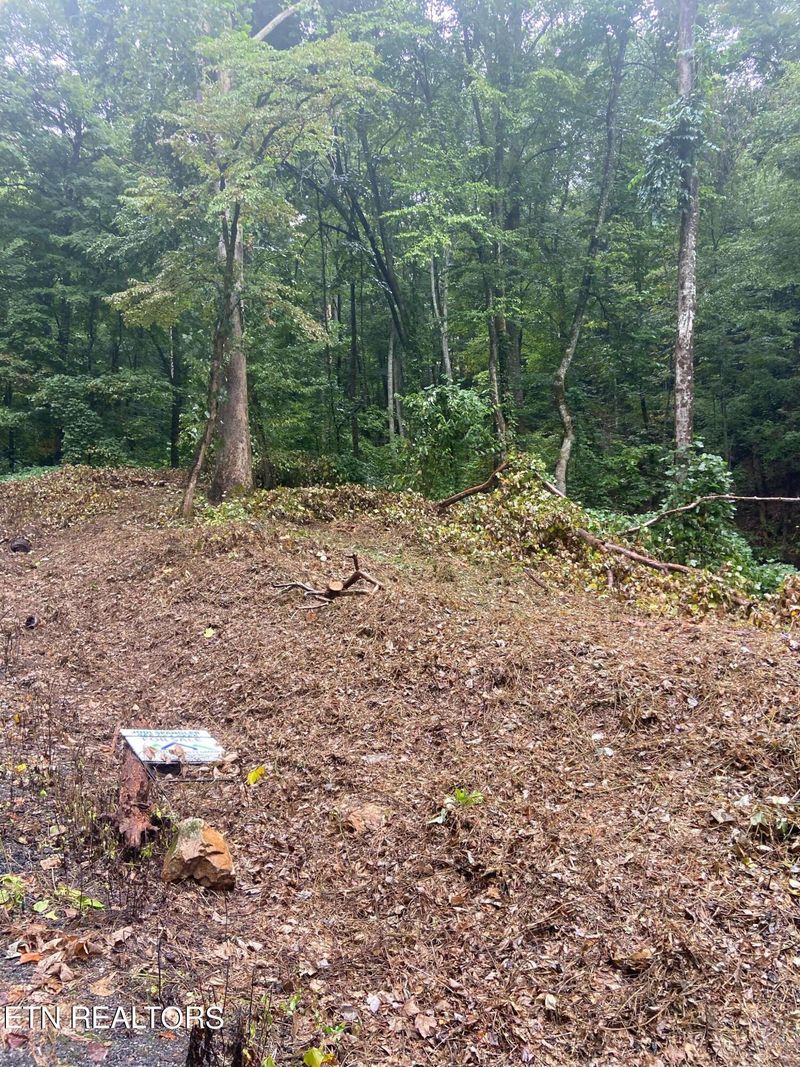 Lot 7 Black Walnut Flats Rd, Sevierville, TN 37862
