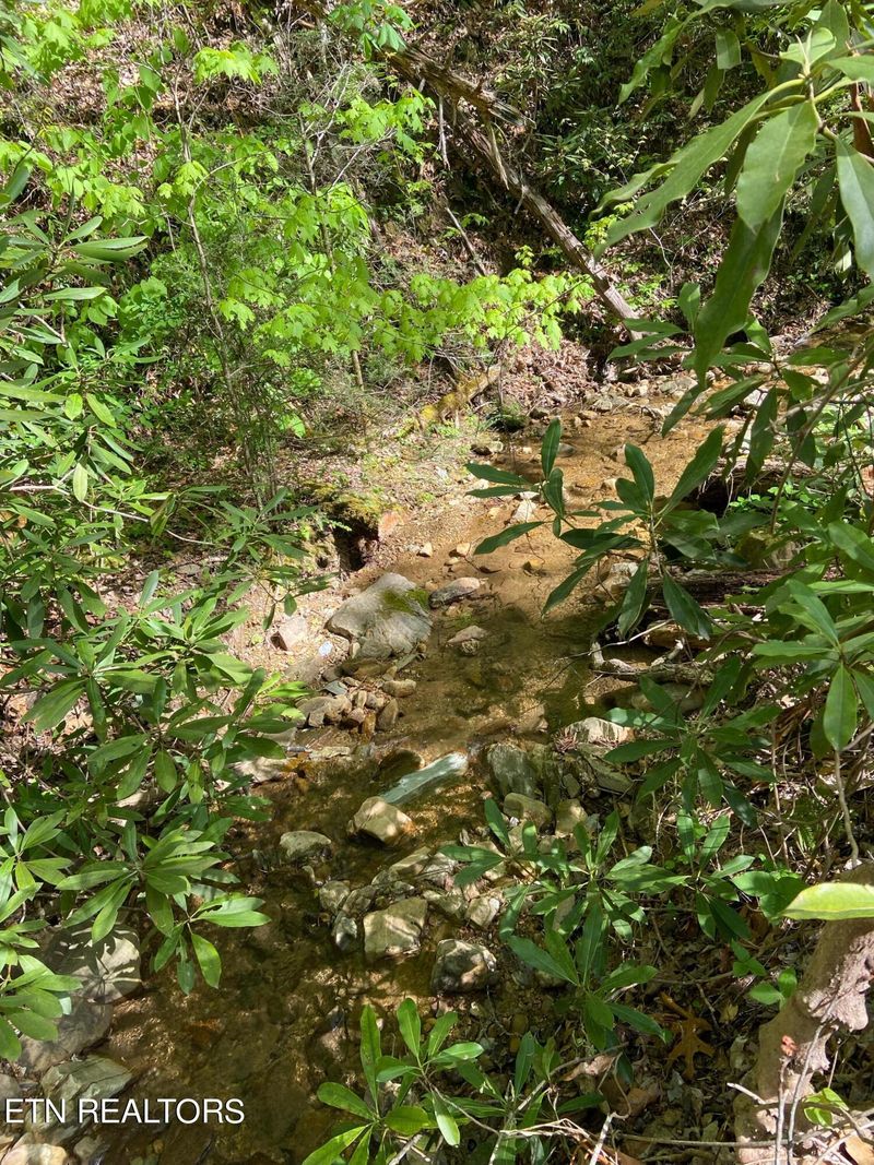 Lot 7 Black Walnut Flats Rd, Sevierville, TN 37862