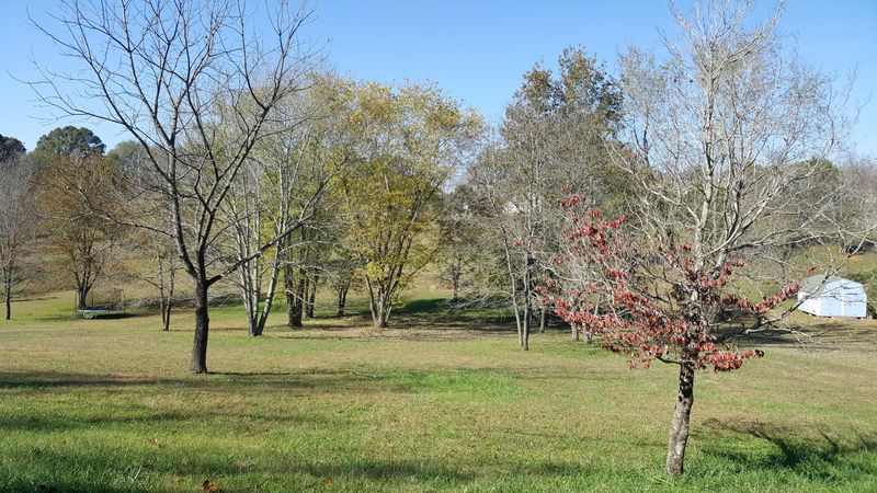 Lot 7 Collier Dr, Kingston, TN 37763