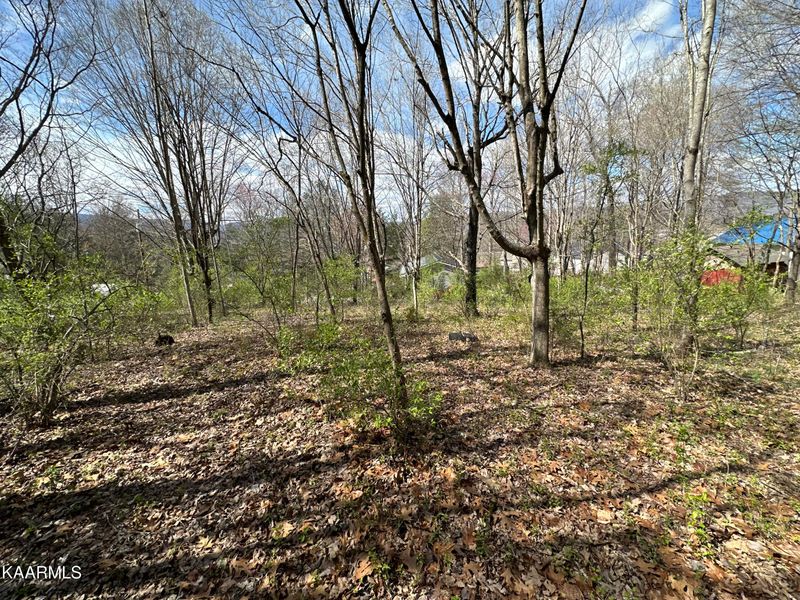 Lot 7 Shannon Rd, Jacksboro, TN 37757