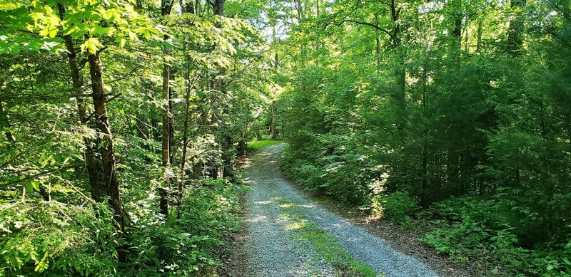 Lot 7 Turkey Roost Rd, Walland, TN 37886