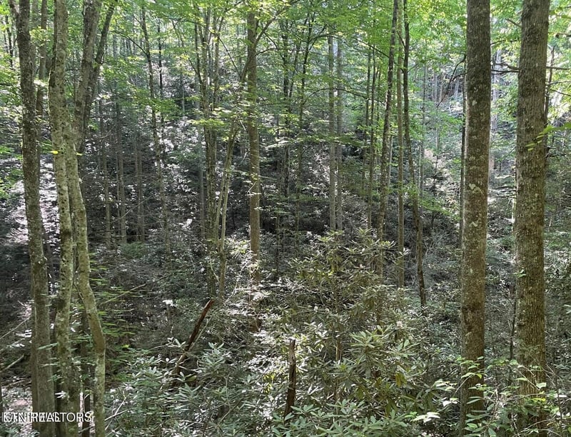 Lot 70 Hazelnut Ln, Sevierville, TN 37876
